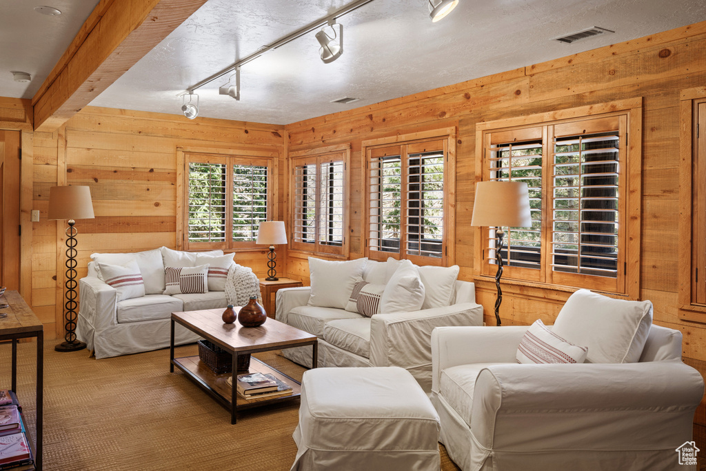 Living room with wood walls, healthy amount of natural light, and track lighting