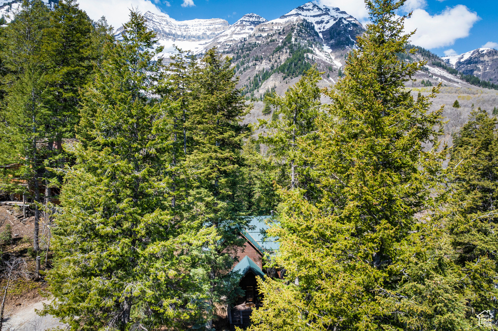 Mountain view