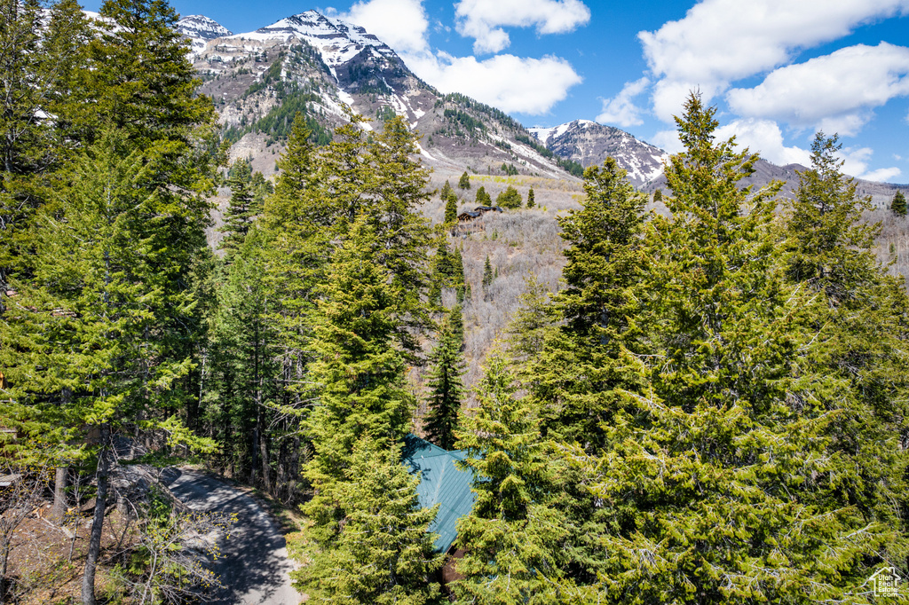 View of mountain background featuring a heavily wooded area