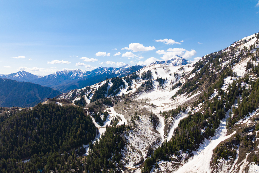 View of mountain background featuring a heavily wooded area