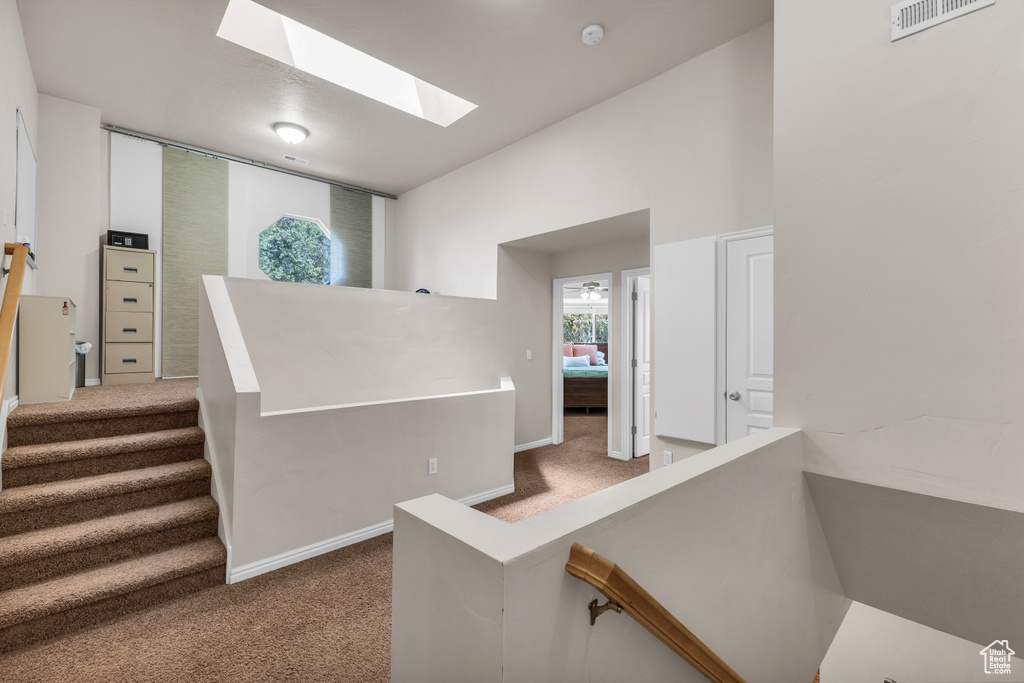 Staircase featuring carpet, a skylight, and baseboards