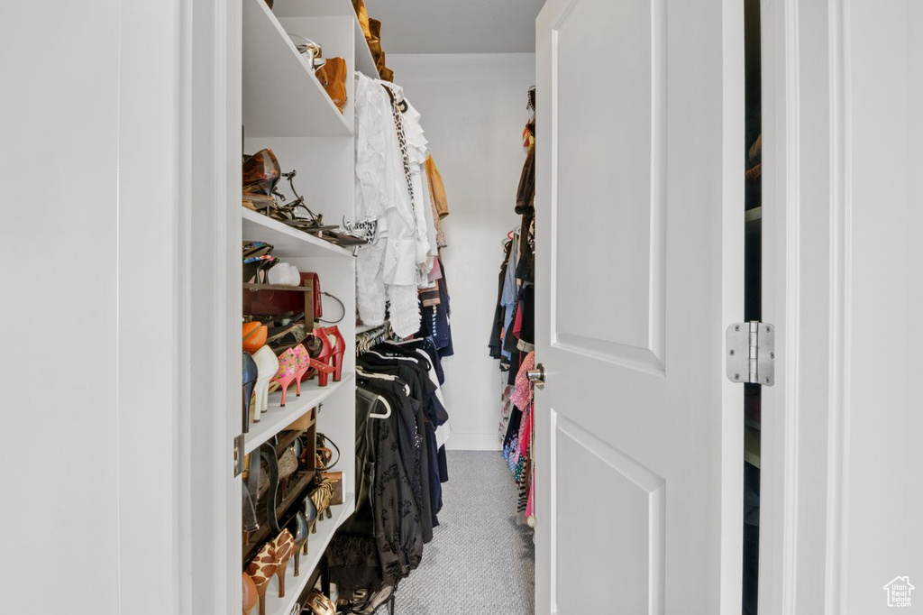 View of walk in closet