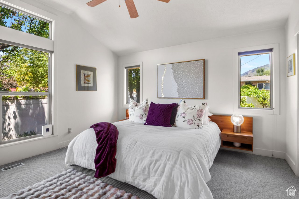 Carpeted bedroom with lofted ceiling and a ceiling fan