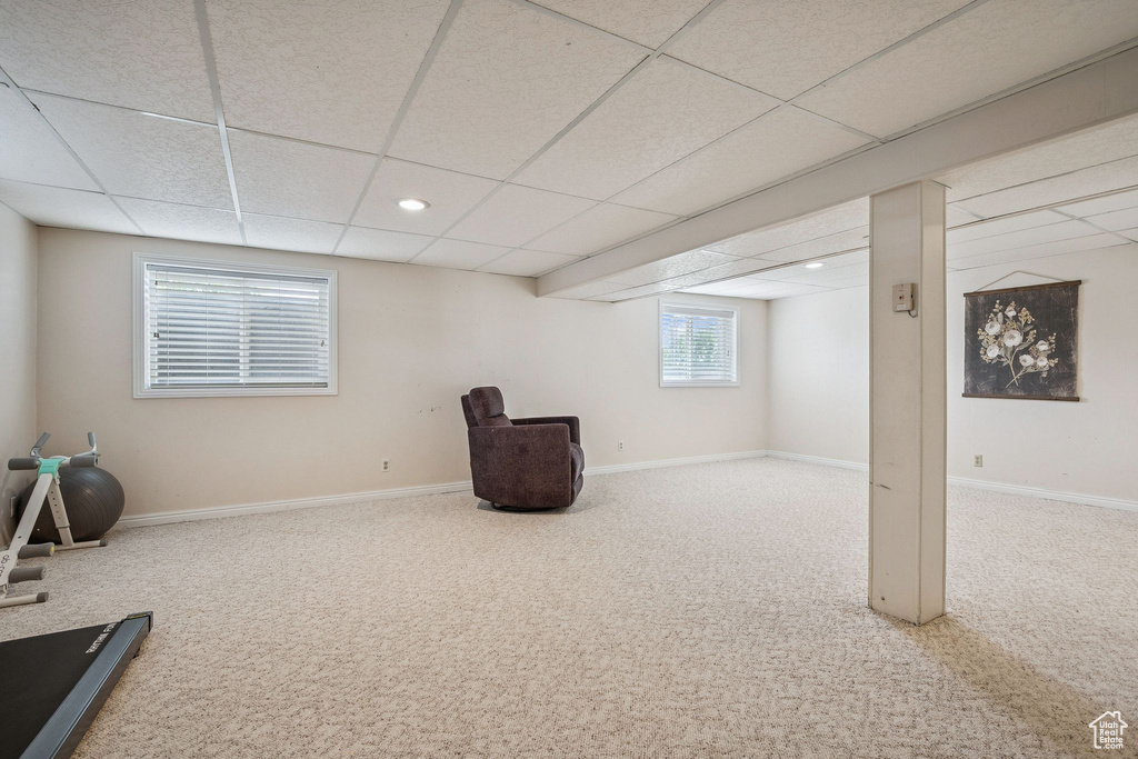 Basement with carpet flooring, a drop ceiling, baseboards, and recessed lighting