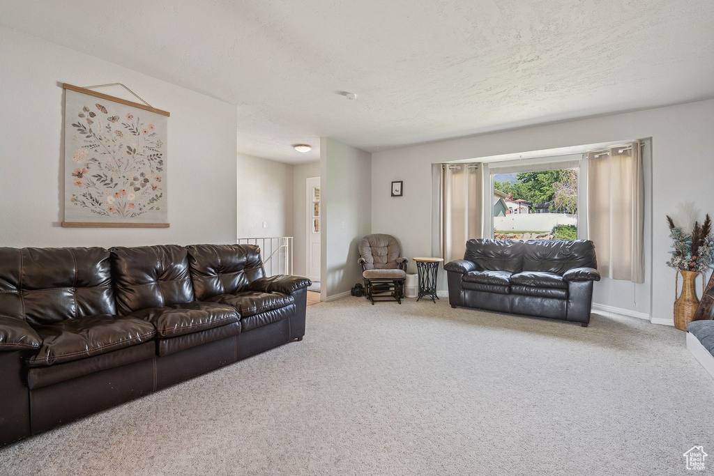 Living room with carpet flooring, a textured ceiling, and baseboards