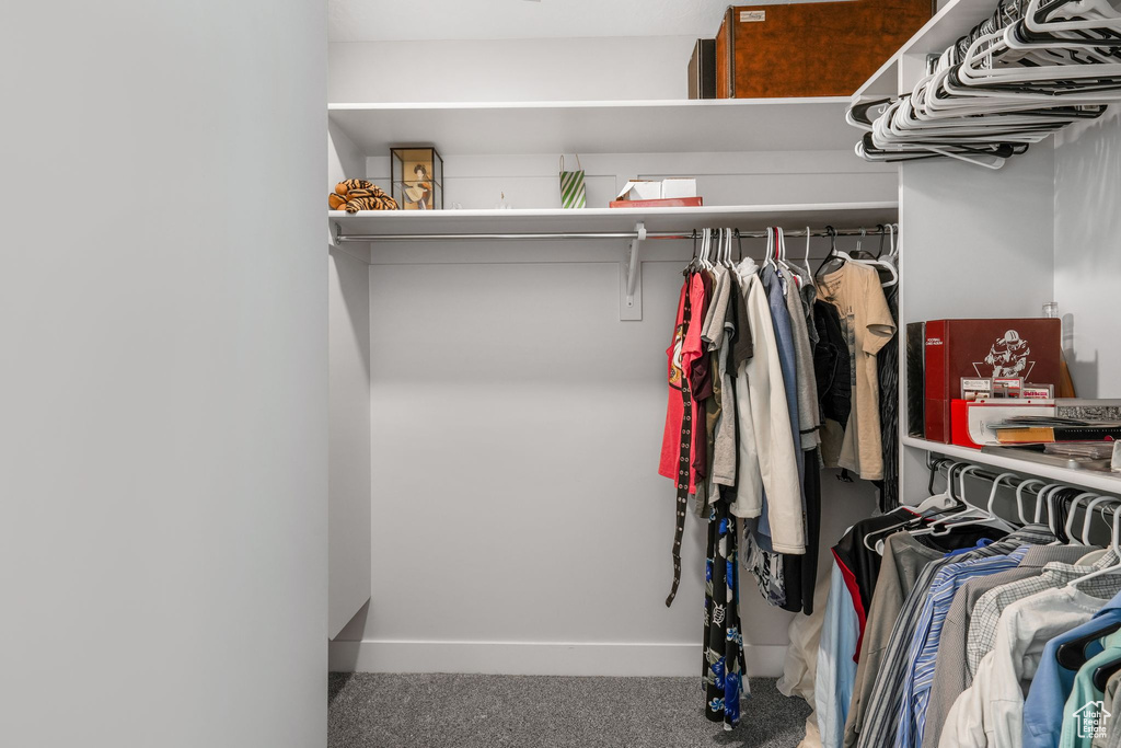 Spacious closet with carpet flooring