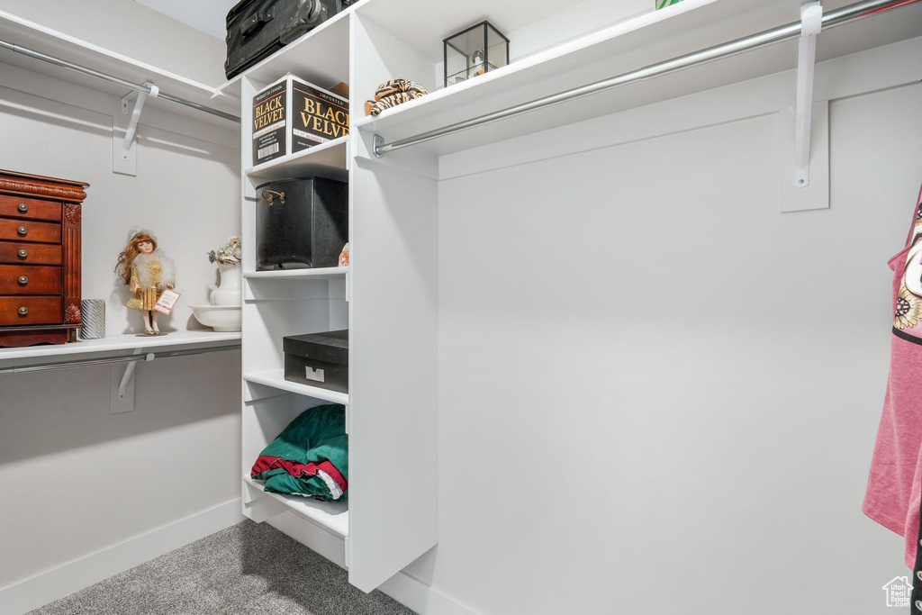 Spacious closet featuring carpet floors