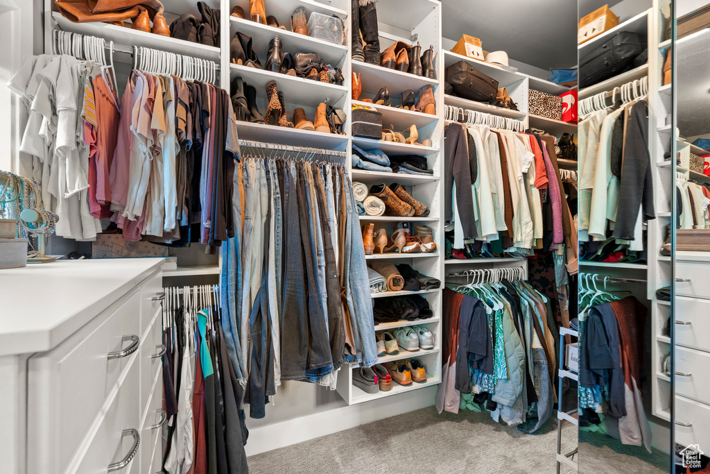Spacious closet featuring carpet floors