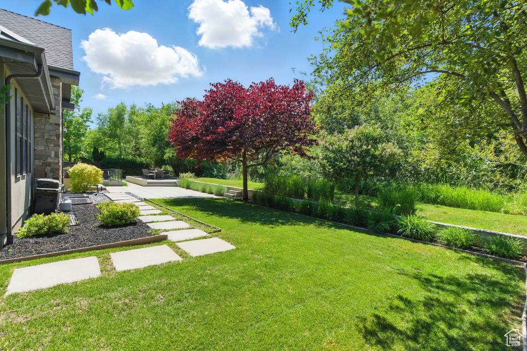 View of green lawn with a patio