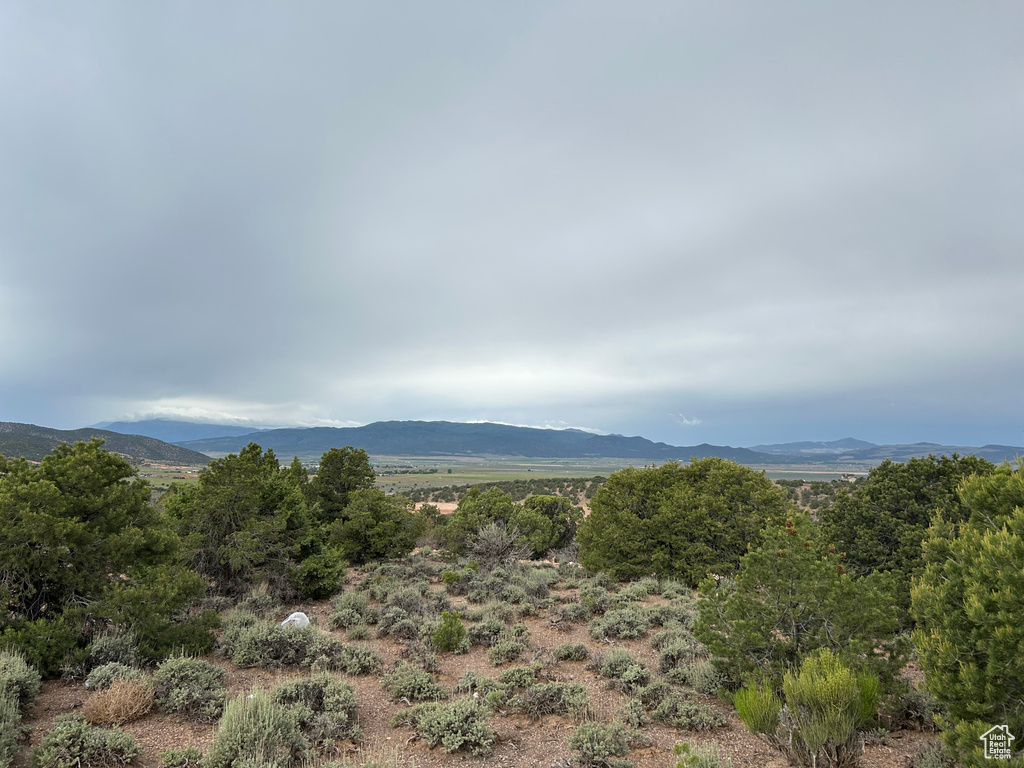 View of mountain background