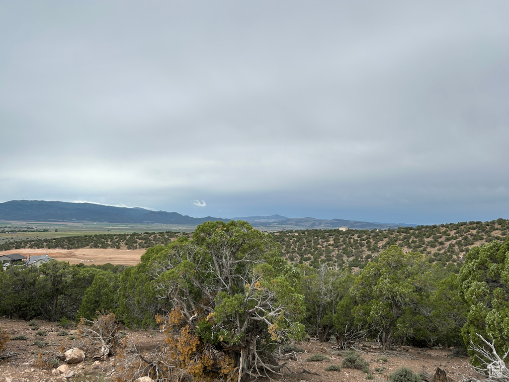 View of mountain background