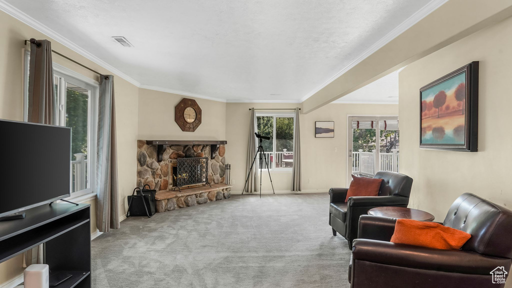 Living area featuring carpet flooring, a stone fireplace, ornamental molding, and baseboards
