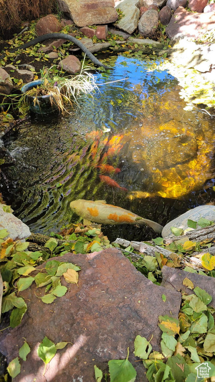 Exterior view of a small pond