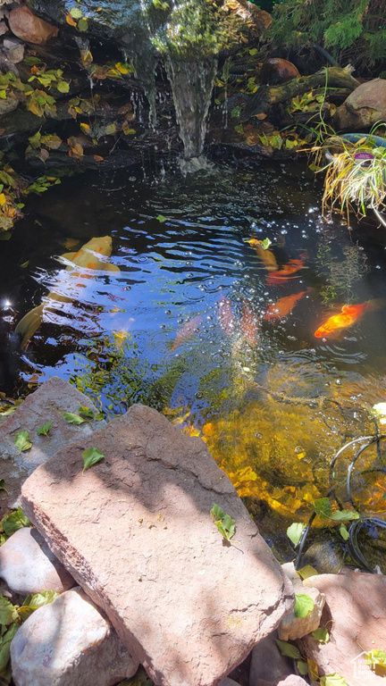 Exterior view of a garden pond