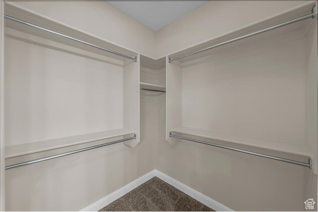 Spacious closet with carpet
