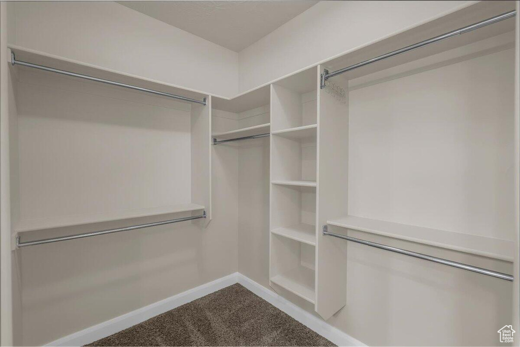 Walk in closet with carpet flooring