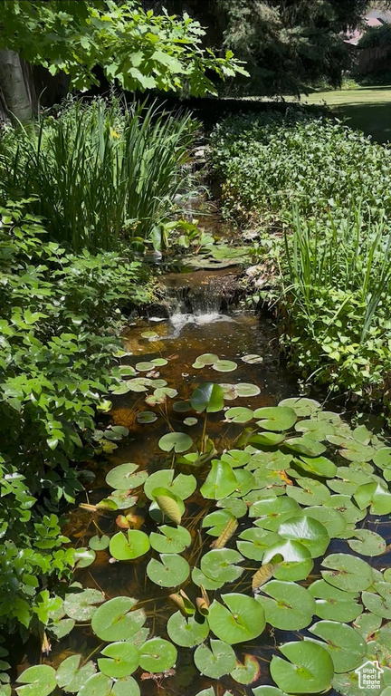 Exterior view of a small pond