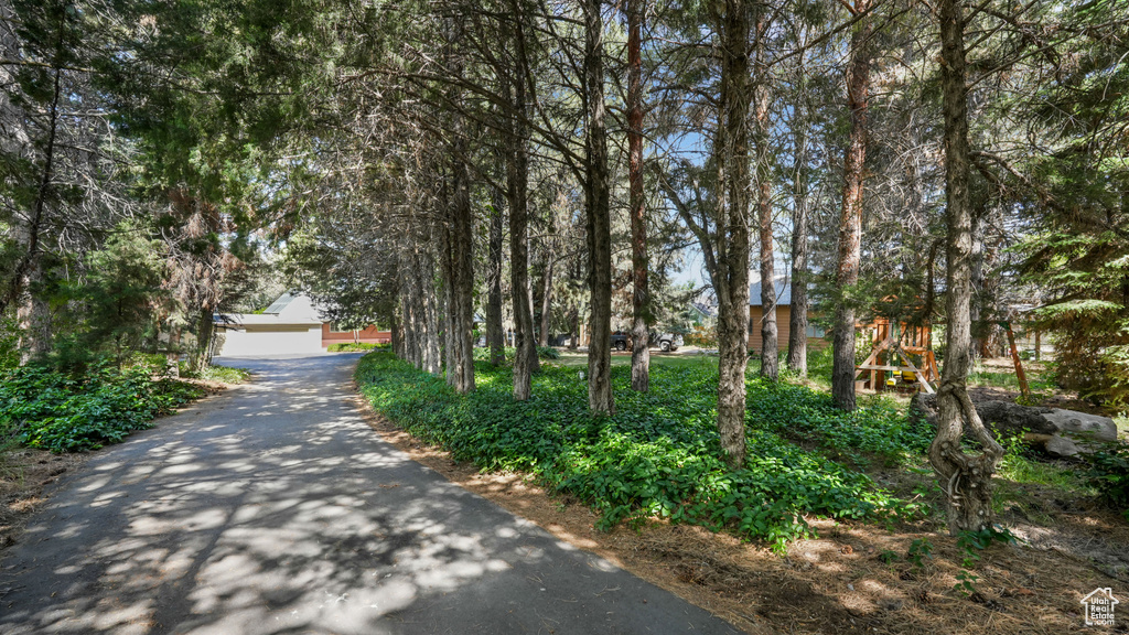 View of asphalt driveway