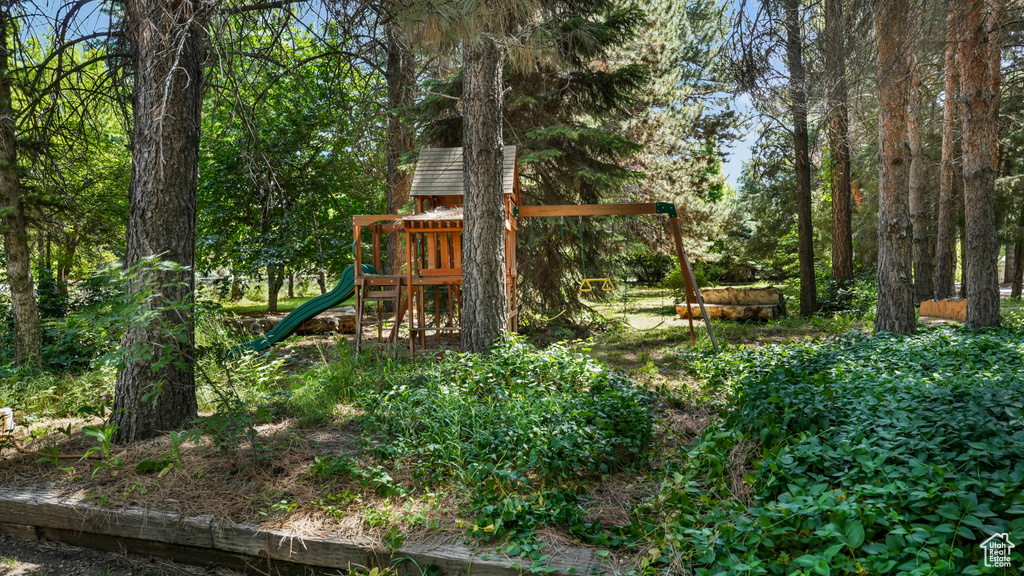 View of playground