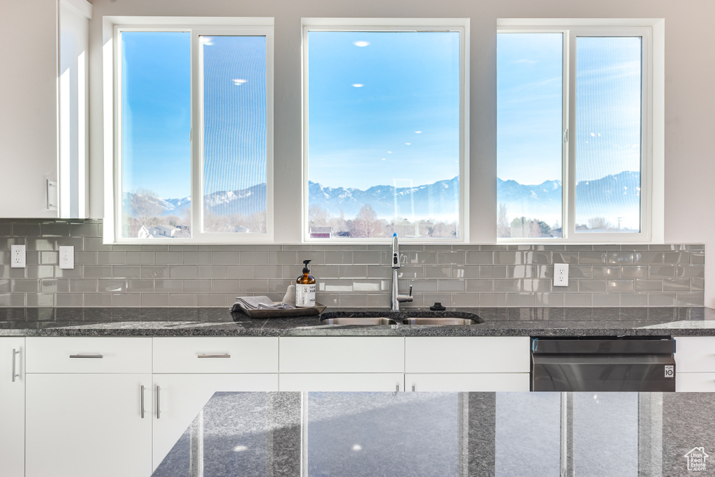 Kitchen featuring a sink, stainless steel dishwasher, white cabinetry, and dark stone countertops