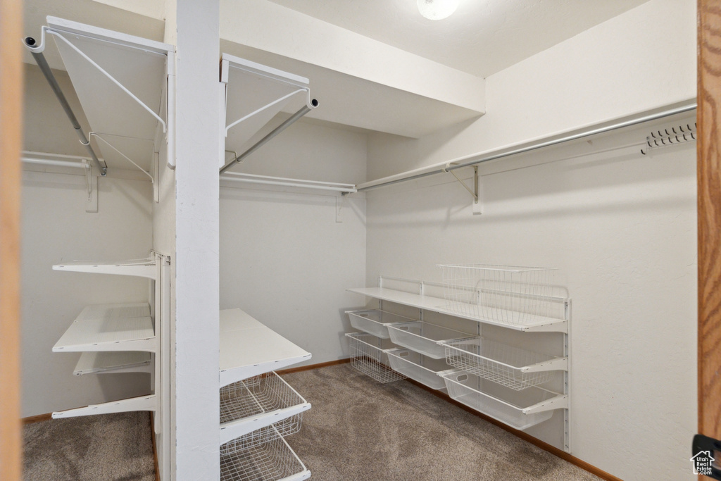 Walk in closet with carpet flooring