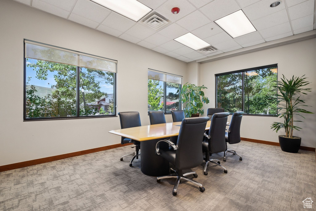 Carpeted home office featuring baseboards and a drop ceiling