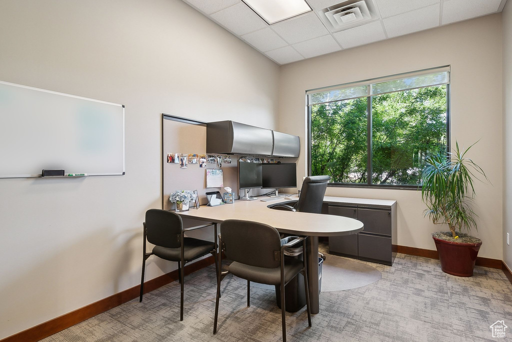 Office featuring baseboards, a paneled ceiling, and light carpet