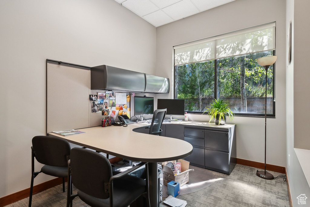 Office area with baseboards and a paneled ceiling