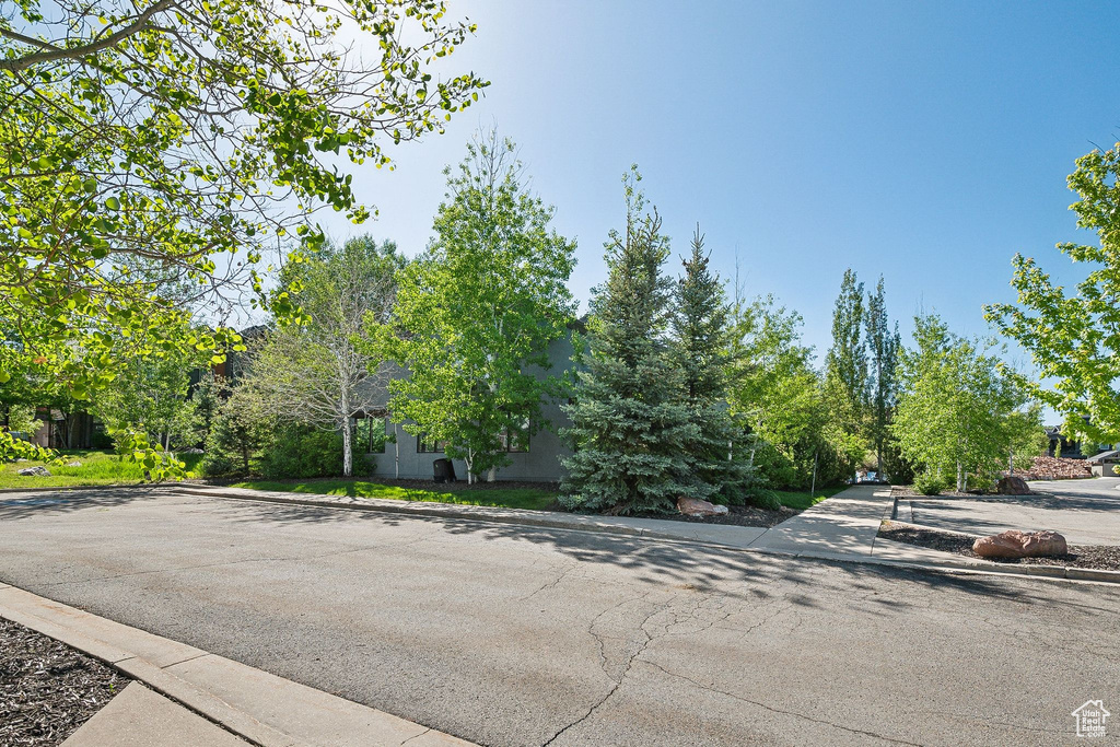 View of asphalt street with curbs and sidewalks