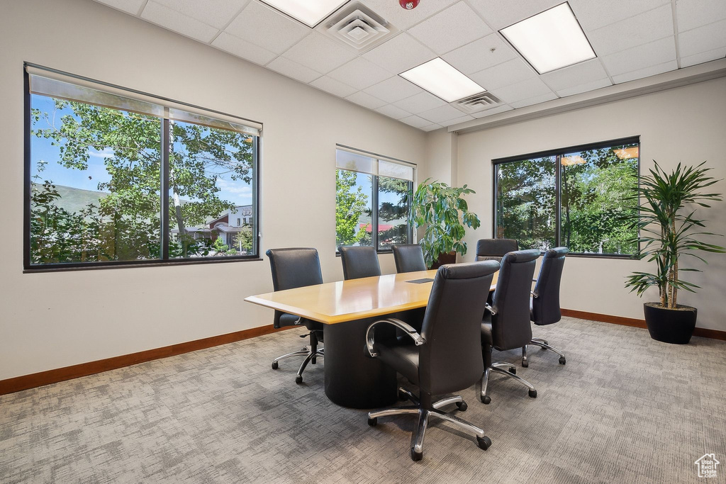 Carpeted office featuring baseboards and a paneled ceiling