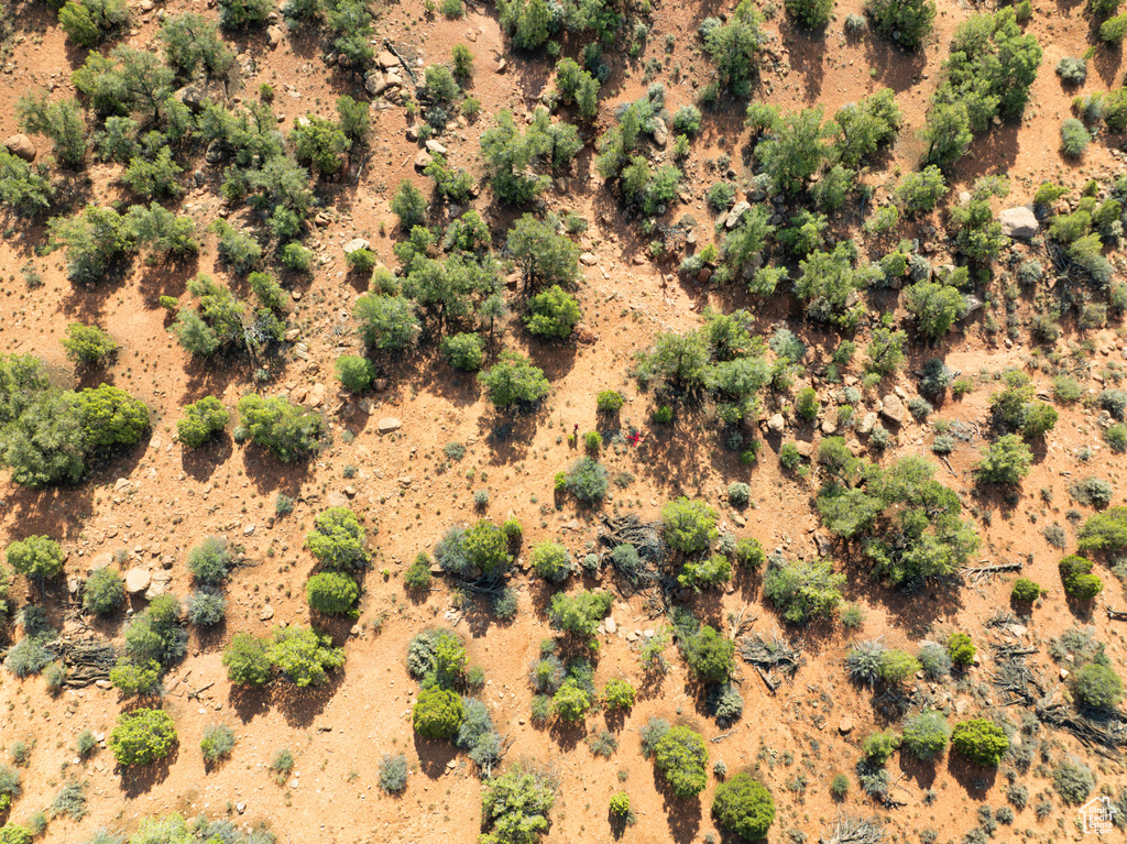 Aerial view of a desert landscape