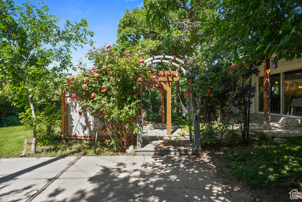 View of patio