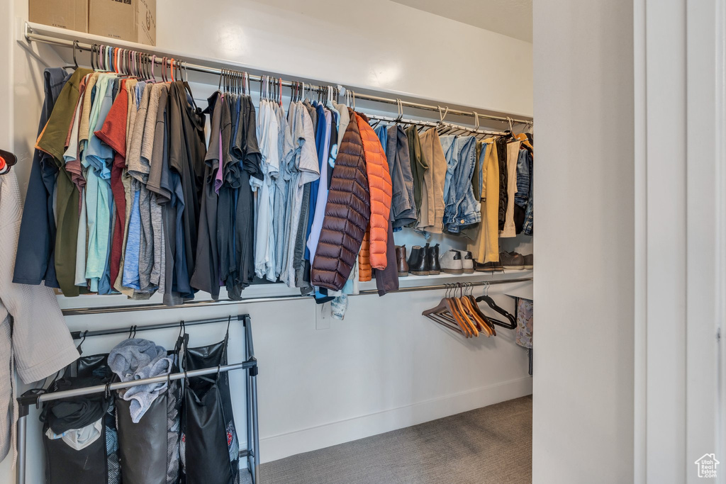 Spacious closet featuring carpet floors