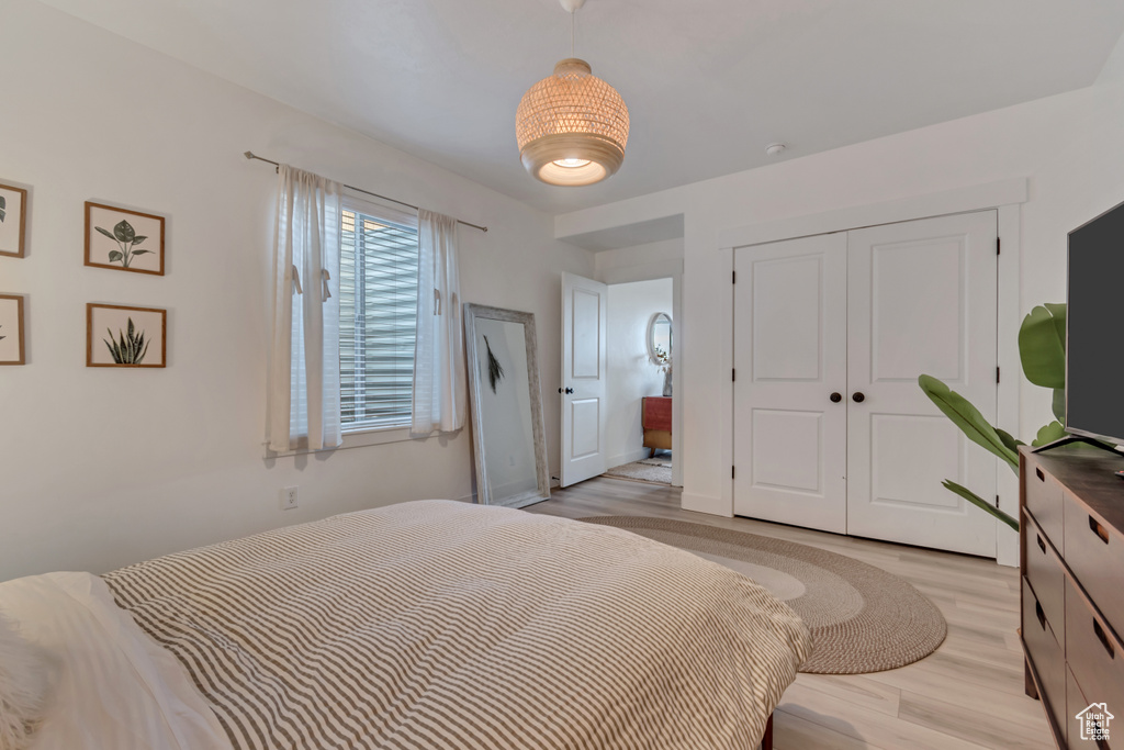 Bedroom featuring light wood-style floors and a closet