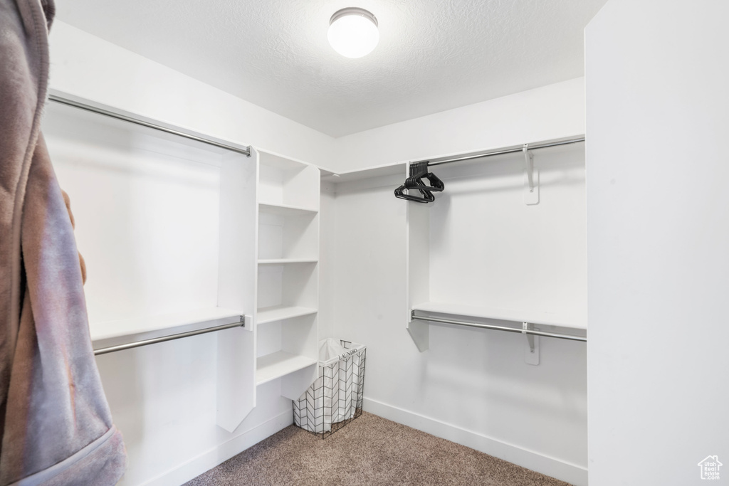 Spacious closet featuring carpet floors