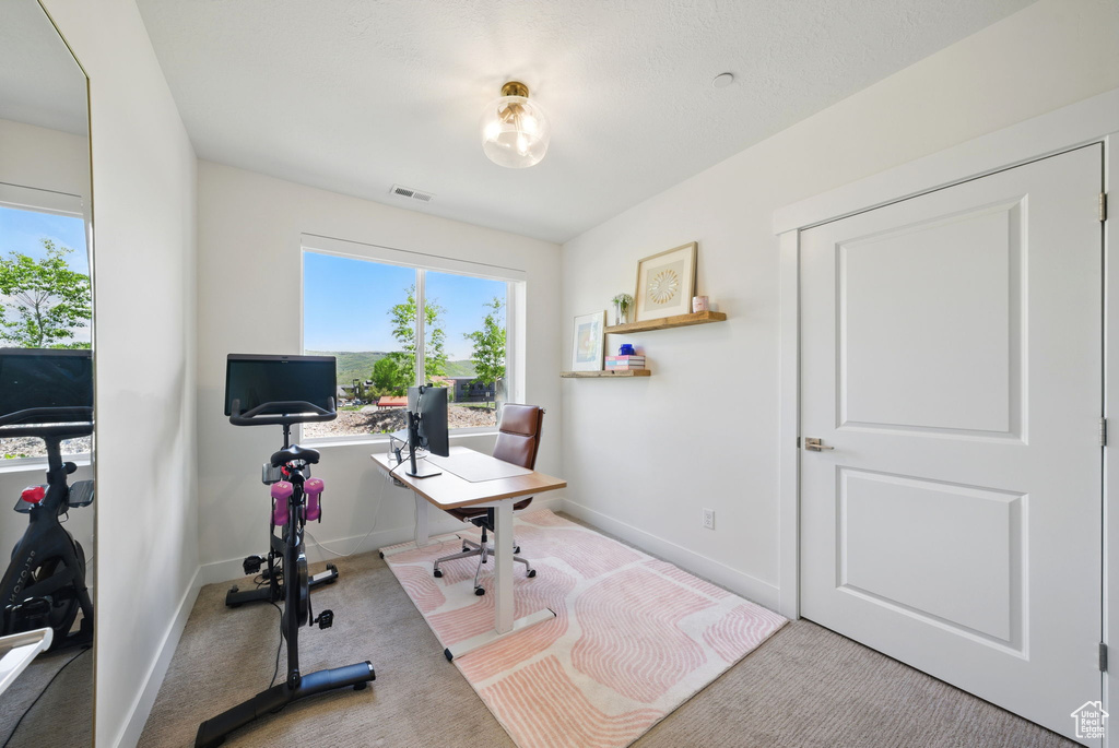 Office space with carpet and baseboards
