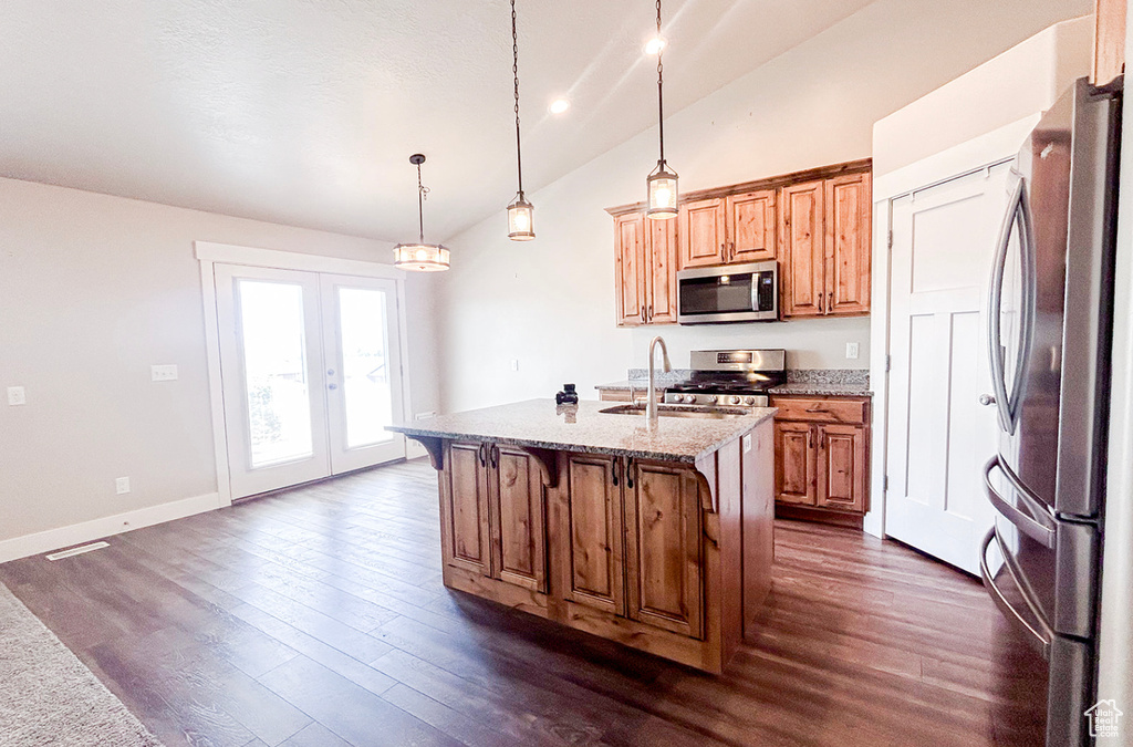 Kitchen featuring appliances with stainless steel finishes, a sink, dark wood-style floors, lofted ceiling, and french doors