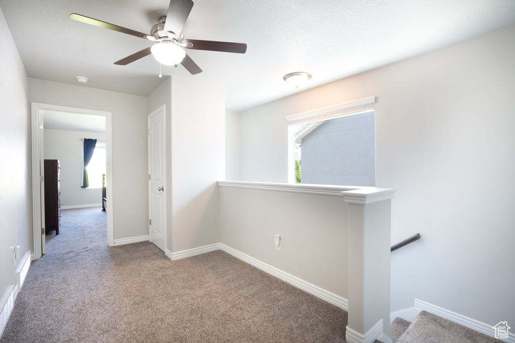 Empty room with carpet flooring, plenty of natural light, a ceiling fan, and baseboards