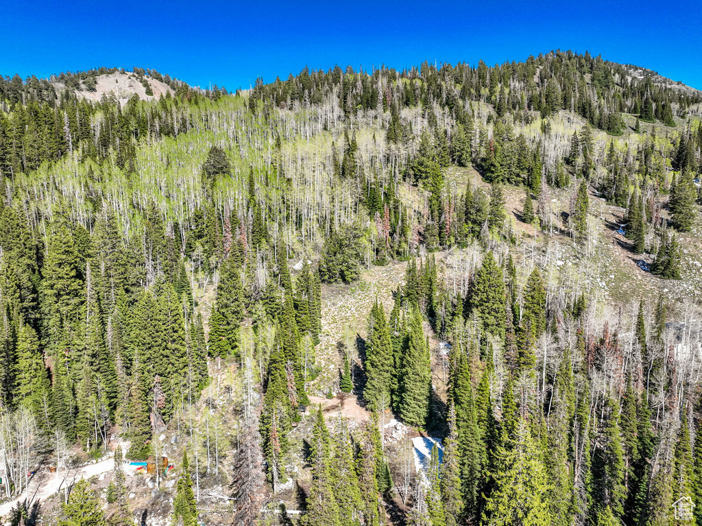 View of mountain backdrop featuring a forest