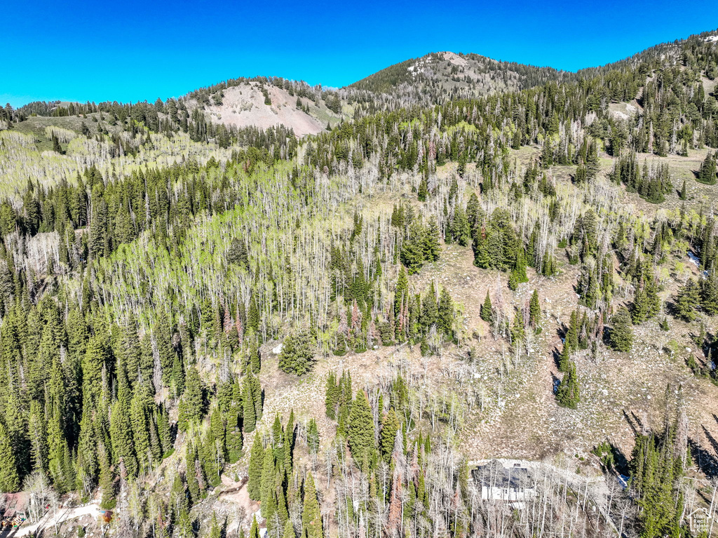 View of mountain background with a forest