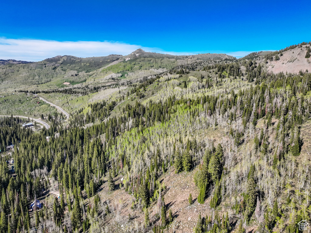 Mountain view featuring a heavily wooded area