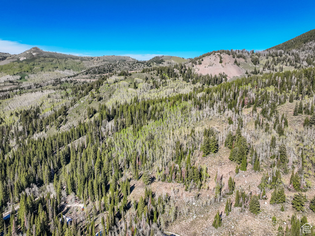 Mountain view featuring a forest