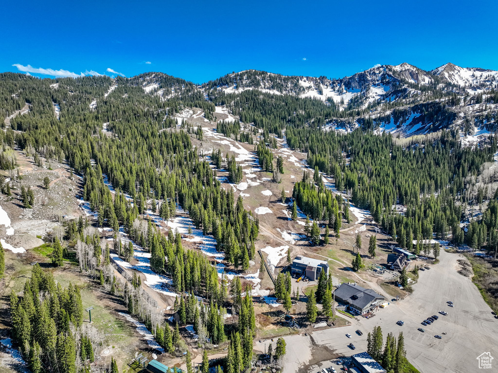 Drone / aerial view of a mountainous background and a heavily wooded area