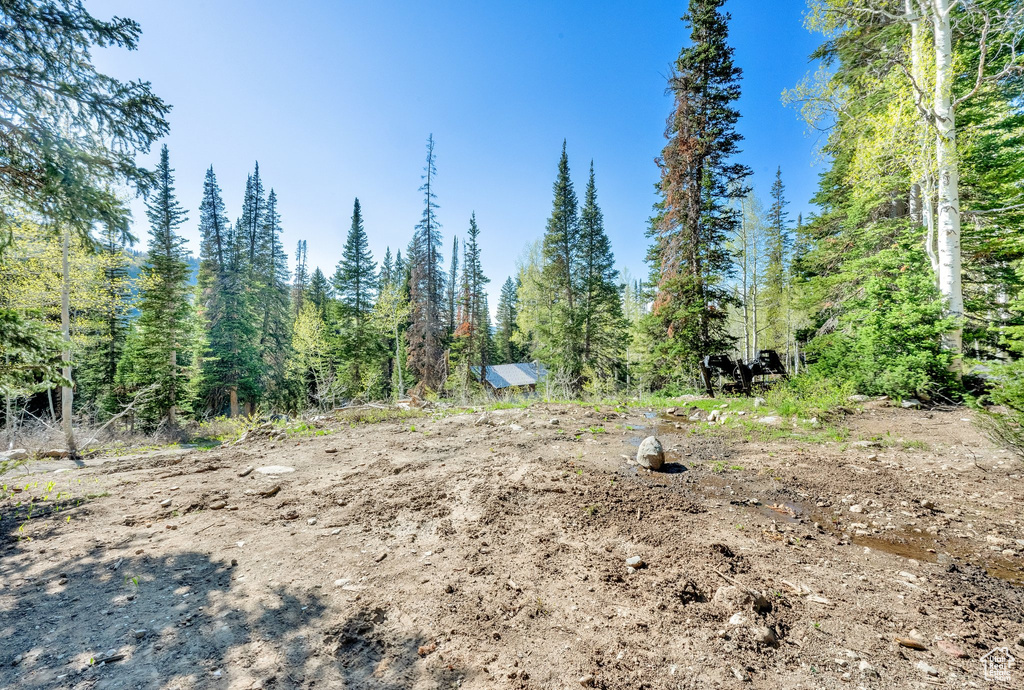 View of undeveloped land