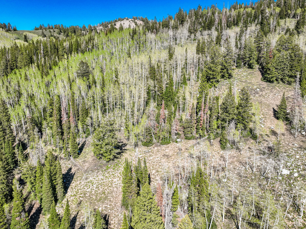 Mountain view featuring a forest