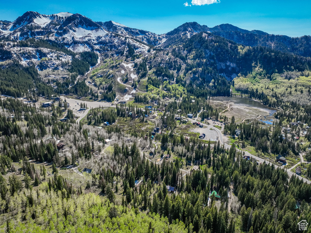 View of mountain backdrop with a forest