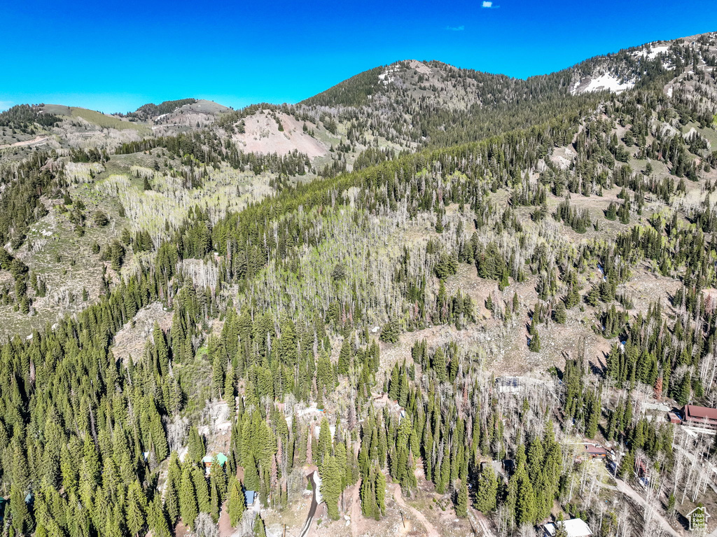 Mountain view featuring a forest