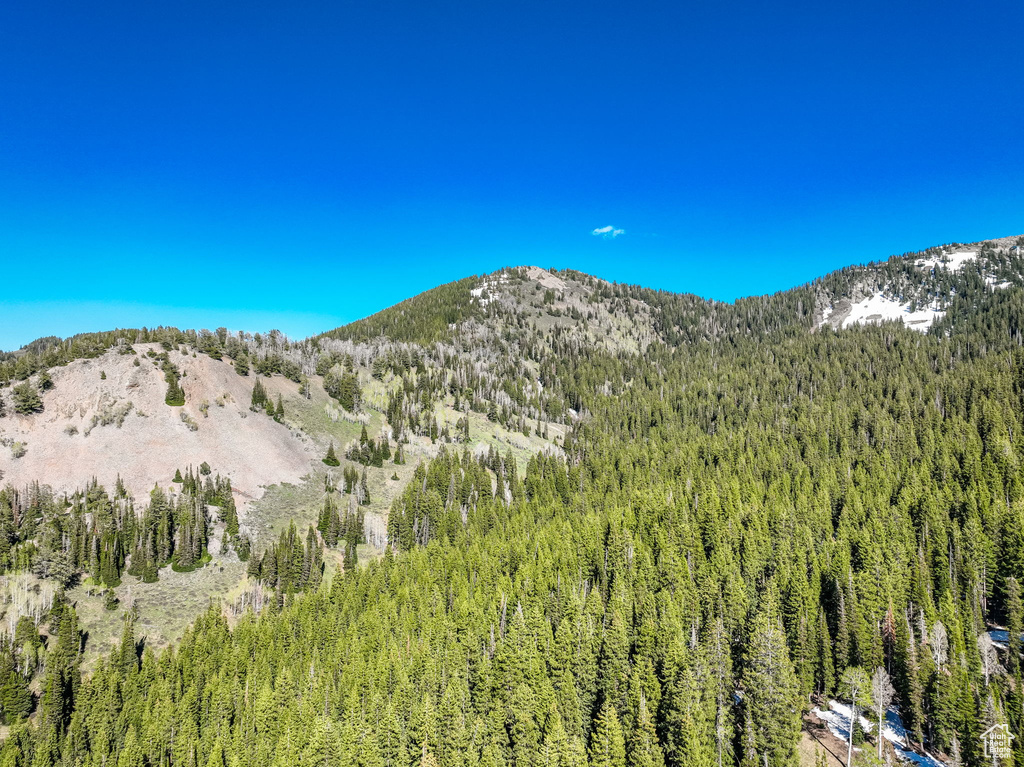 View of mountain backdrop featuring a forest