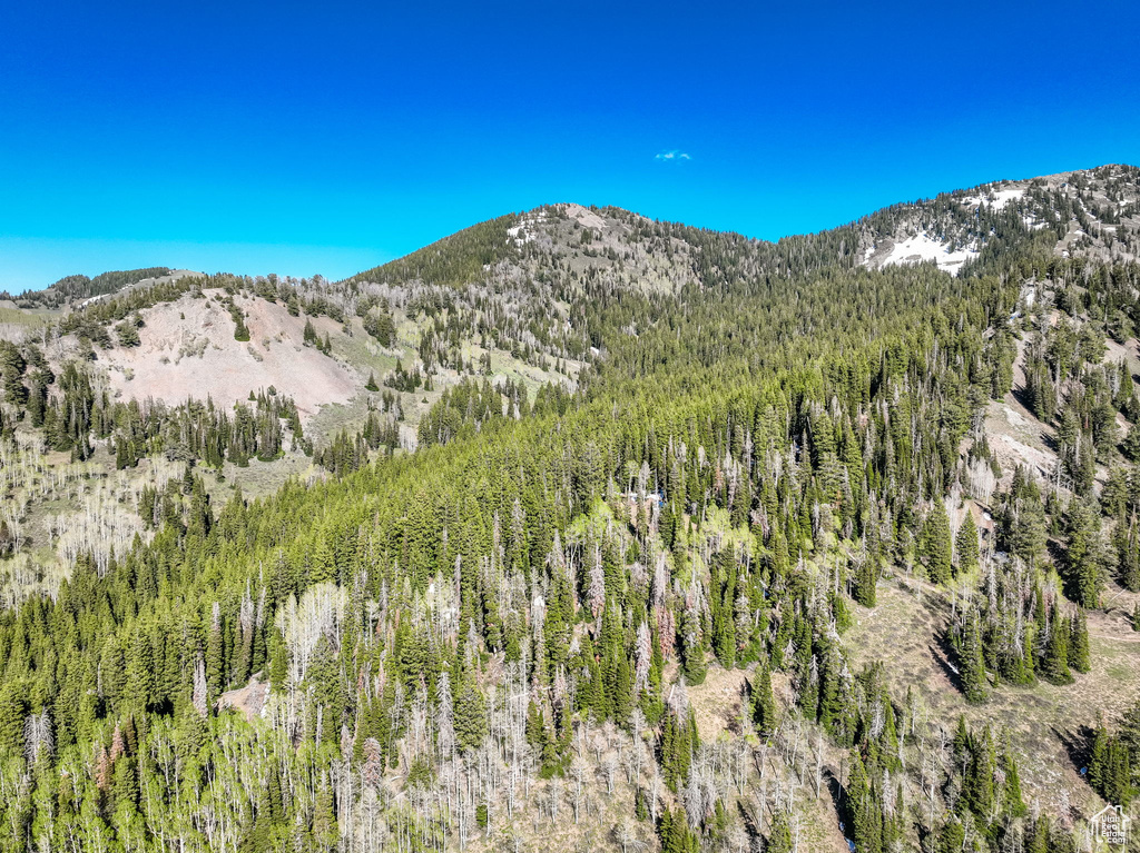 View of mountain background featuring a heavily wooded area