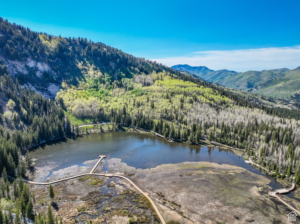 Bird\\\'s eye view of a heavily wooded area and a water and mountain view